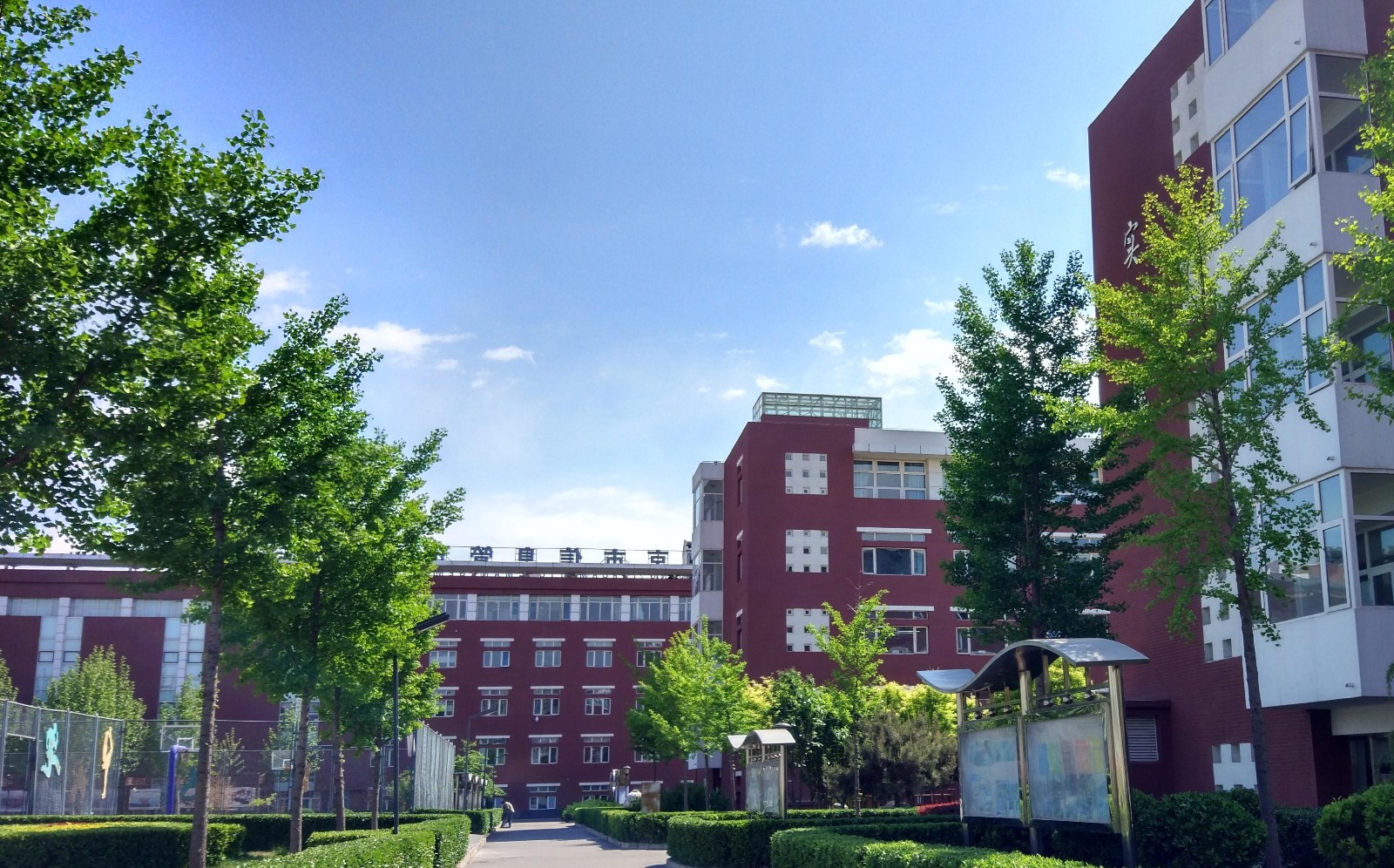 北京市信息管理學(xué)校2024年招生計(jì)劃詳解 計(jì)算機(jī)網(wǎng)絡(luò)信息管理與服務(wù)專(zhuān)業(yè)